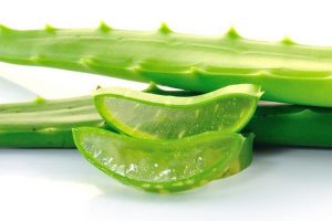 KEMASAN AIR MINERAL SI-ARA (INOVASI DARI ALOE VERA) SEBAGAI MEDIA KEMASAN INOVATIF RAMAH LINGKUNGAN